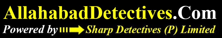 allahabad detectives logo